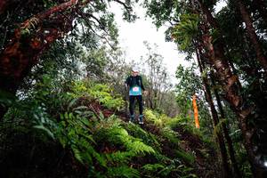 BIB: 
                            <button type="button" onclick="openModal(26205255)" class="btn btn-primary btn-sm float-right btn-popup" data-toggle="modal" data-target=".modal-high-quality">
                        <i class="fas fa-shopping-cart"></i> Add to Cart
                    </button>
                                            <button type="button" onclick="isThisMe(26205255, true)" class="btn btn-success btn-sm float-right btn-popup btn-isme hidden" data-toggle="tooltip" data-placement="bottom" title="นี่คือรูปของคุณใช่ไหม คลิกที่นี่เพื่อเอาเข้าอัลบั้ม">
                        <i class="fas fa-plus"></i> Add to album
                    </button>
                    <button type="button" onclick="isThisMe(26205255, false)" class="btn btn-warning btn-sm float-right btn-popup btn-isnotme hidden">
                        <i class="fas fa-ban"></i> Remove from album
                    </button>